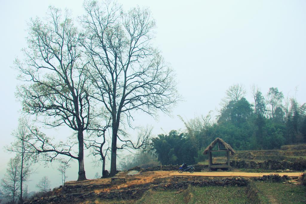Freedom Homestay & Trekking Sa Pa Exterior photo