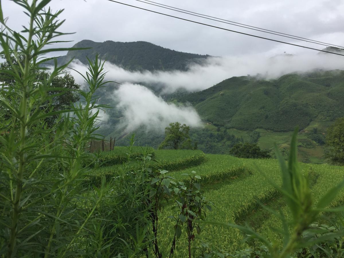 Freedom Homestay & Trekking Sa Pa Exterior photo